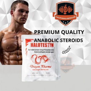 Halotestin Tablets on propergear.org