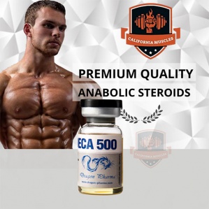Deca 500 on propergear.org