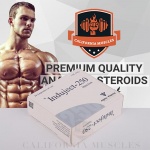 Sustanon 250 (Testosterone Mix) for sale in USA