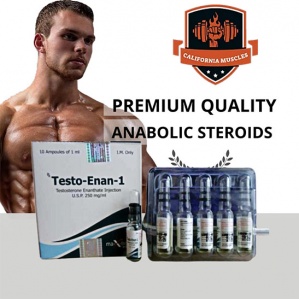 Testo-Enan on propergear.org