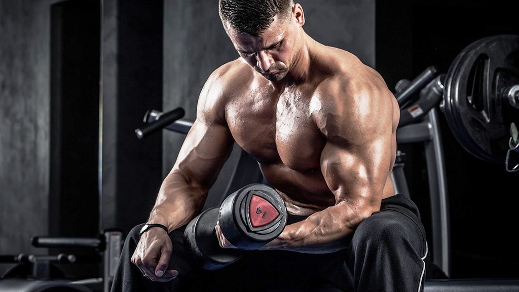 testosterone cypionate cycle results