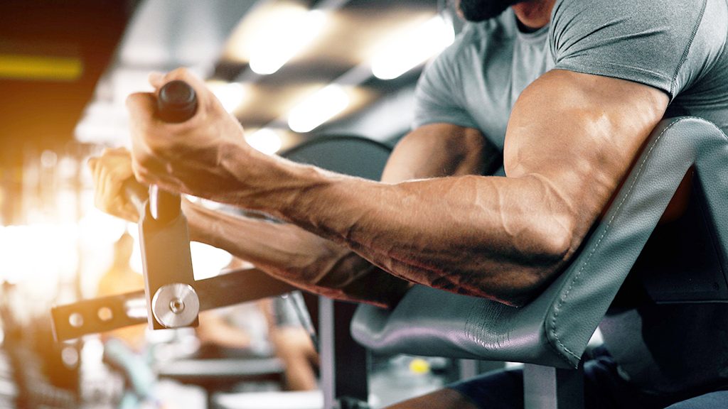 trenbolone only cycle