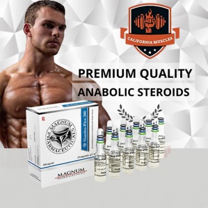 Magnum Nandro-Plex 300 on propergear.org