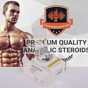 Magnum Stanol-AQ 100 for sale in Propergear