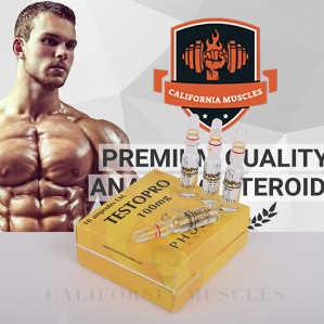 Testopro - 100mg - 10 ampoulesfor sale in usa propergear.org
