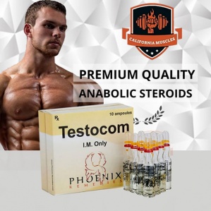 Testocom on propergear.org